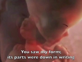 Development Of Fetus Inside The Womb