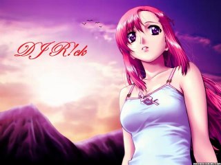 Dj R!ck - Ultraschranzmix