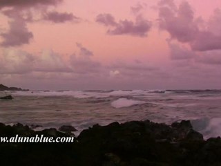 Stock Video - Tropical 01 clip 11 HD Stock Footage