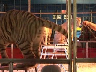 Circus families keep Big Top traditions alive