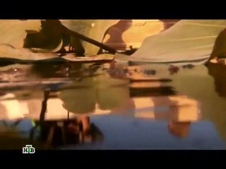 Астраханская область. Царство мертвых начинается здесь?