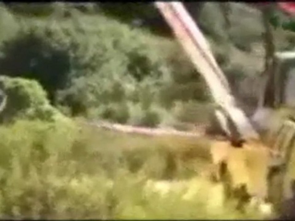 Songwriter Composer & Singer Ariel Zilber P.5