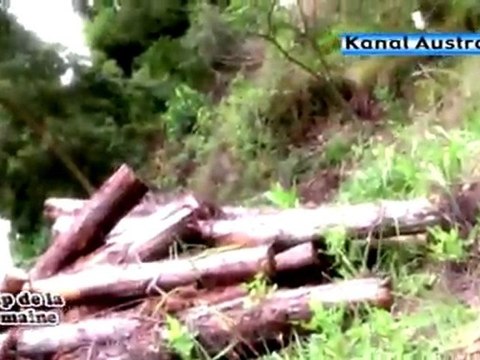 RUDY VASSILY - Forêt (île de la Réunion) : Clip de la semaine sur Kanal Austral