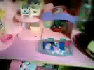 presention de la ville petshop les gros changement