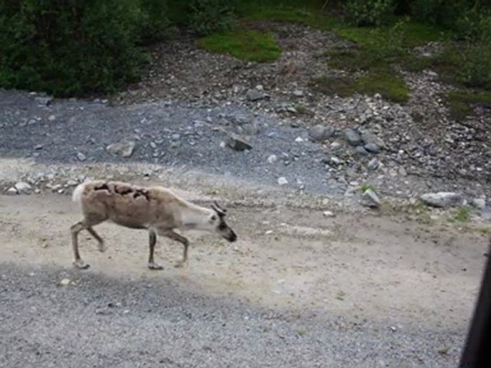 35-on roule - copie