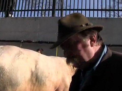 SIA 2012 : la douche des bovins