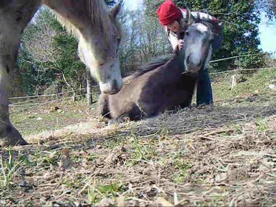 210212 - loulous + balade en main