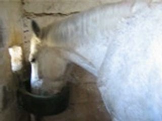 Mon amour pour la vie