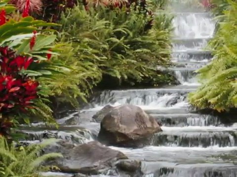 En Damar Şarkı Budur ARABESK TÜRK Farkıyla arabeskturk.com