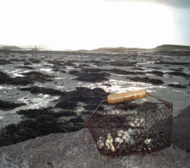 BRETAGNE  TREBEURDEN  ILE  COTES D ARMOR