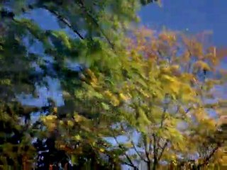 Discours Haidar El Ali global greens 2008