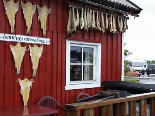 41-SVOLVAER vers WESTAGOY - copie