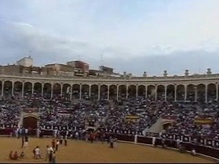 FERIA DE ALBACETE vaquillas populares