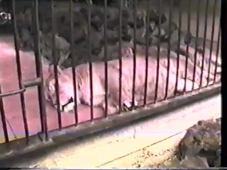 vacances dans la creuse