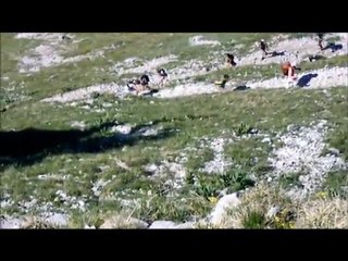 Team Optisport - Red Bull Elements - Part 1