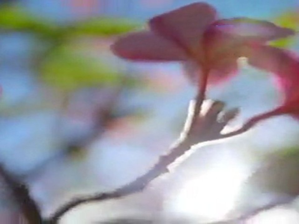 Stan Kolev feat Albena Veskova - The MAGIC Of Bulgarian Voices & Music