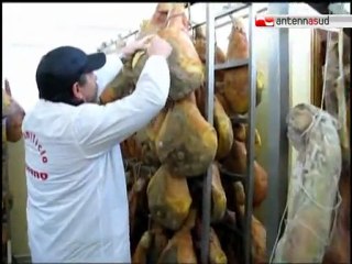 TG 25.02.12 Faeto, domani torna la sagra del maiale nero