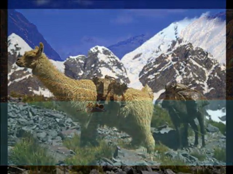 Peru Vacations