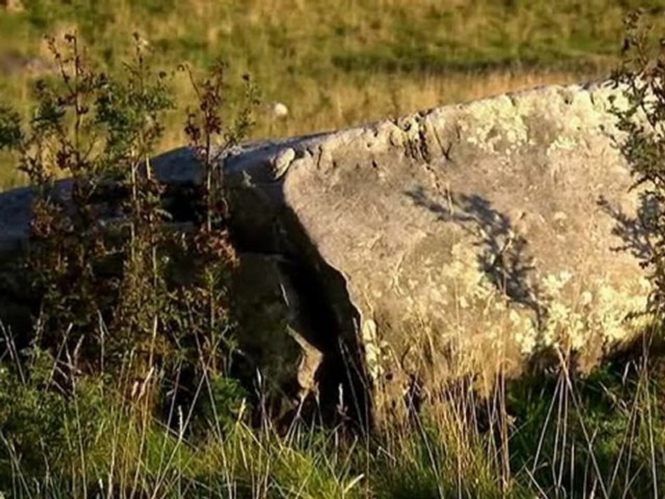 Terra.X.Der.Geheimcode.von.Stonehenge