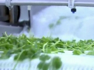 Michigan primary puts focus on Detroit's economic recovery