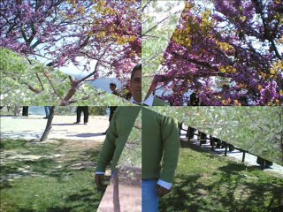 çakırlı köyü suşehri