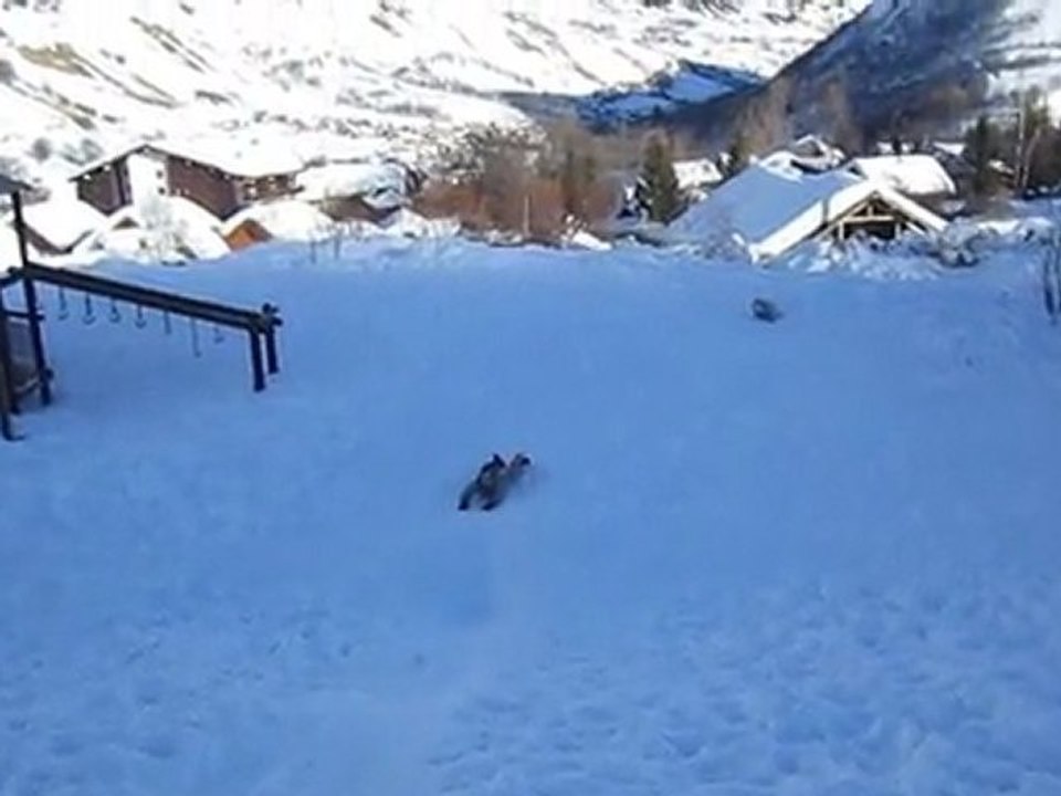 la luge