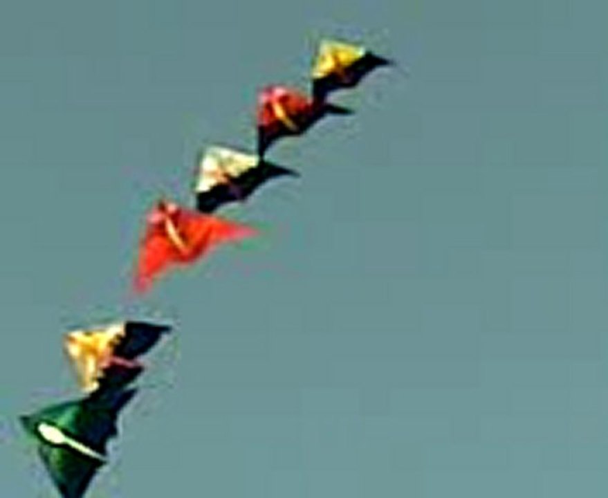 Video055