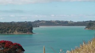 Mahurangi Regional Park - Nouvelle Zélande / Île du Nord (HD)
