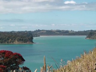 Mahurangi Regional Park - Nouvelle Zélande / Île du Nord (HD)