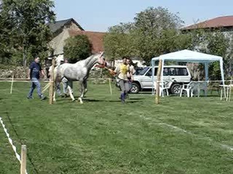 Course Michaugues septembre 2006 136