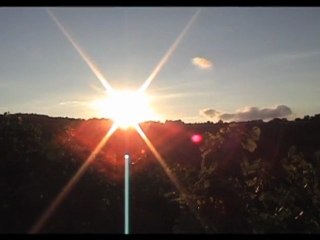 vendange alsace 4 saisons (brouillon)