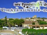 Les Printemps de Chateauneuf du Pape : Atelier Cépage par Mathieu Vignal