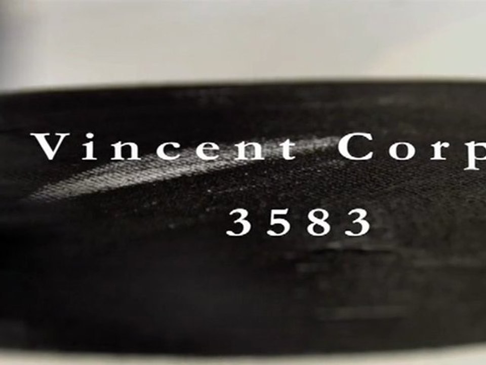 Documentary painting/Vincent corpet "ma eau ba ma" 3583