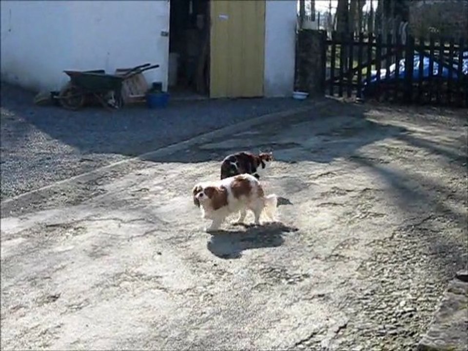 Ulia Vadrouille 29 02 2012