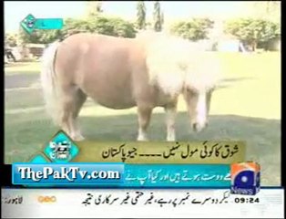 Geo News Morning Show - Geo Pakistan - 26th February 2012 --Prt 2