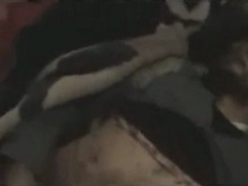 فري برس  حمص  بعض شهداء مجزرة الخالديه 24 2 2012