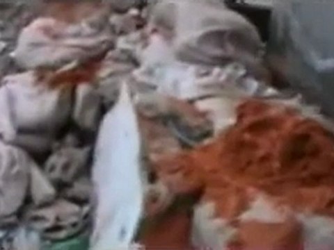 فري برس الناشط عمر التلاوي يشرح لنا كيف تم تحرير حاجز حمام الباشا في السوق 24 2 2012