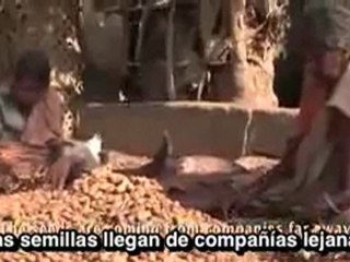 Aprendiendo a nutrirnos a nosotros mismos _ soluciones de la