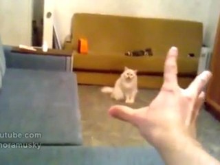 Η τηλεκίνηση είναι πραγματικότητα!