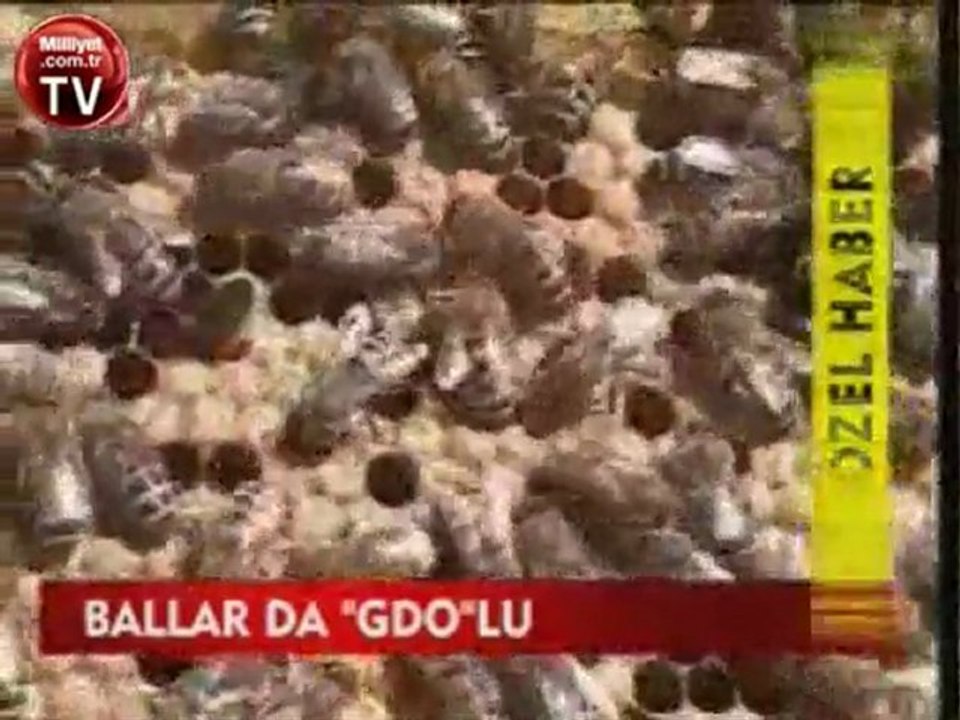 Ballar da GDO'lu