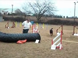 Rottweiler - balzac agility 26.02.2012