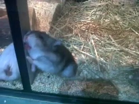 VID 00263-20120225-1540