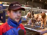 Le concours de la traite des vaches au Salon de l'agriculture
