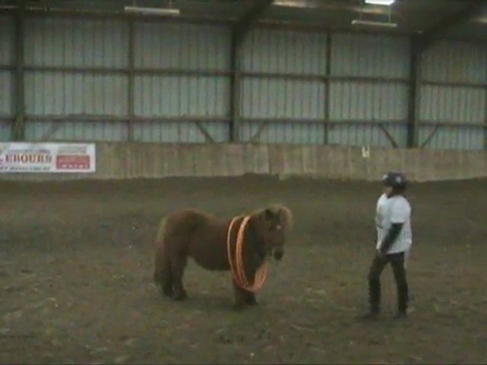 mazerolles_circus_4