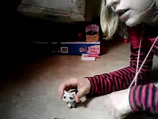 petshop la dispute entre meilleur amie partie1