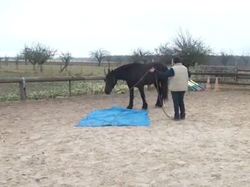 26.02.2012.zzj.bache