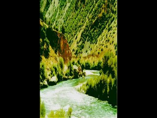 Hüseyin Güneş-Heval