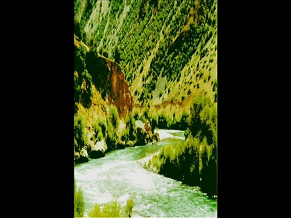 Hüseyin Güneş-Heval