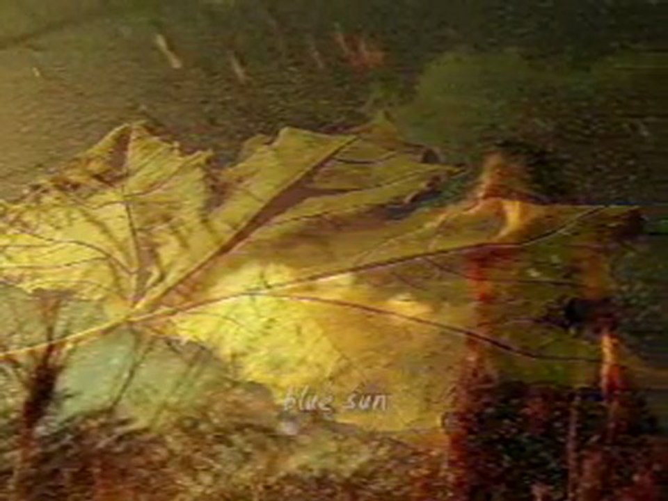 Tugba özerk Acı hatıralar.