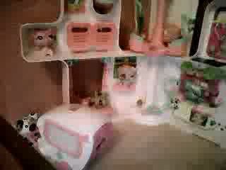 petshop la naissance d un nouveau petshop